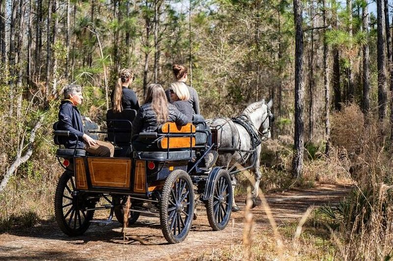 Billet Promenade en calèche forestière Goethe (Peut accueillir jusqu'à 4 personnes)