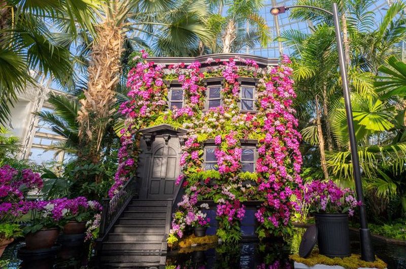 Billet Pass All-Garden pour le Jardin botanique de New York