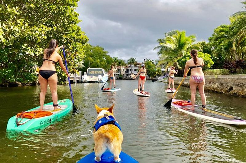 Billet SUP PUP Paddleboard Tour