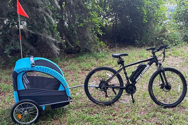 Billet Visite de 2 heures en vélo électrique avec remorque pour 2 enfants au bord du lac Kissimmee