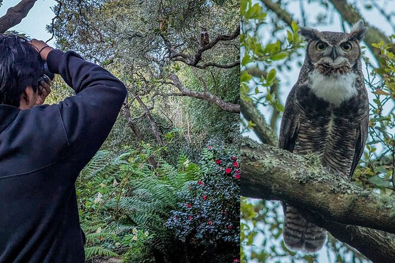 Billet Golden Gate Park Twilight Wildlife Walking Tour