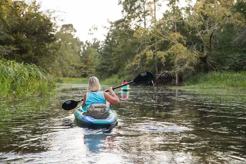 Billet Aventure dans le Bayou de la Nouvelle-Orléans : location de kayak