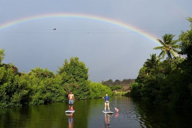 Billet Stand Up Paddle Nature et Tortues - Voir les tortues garanties