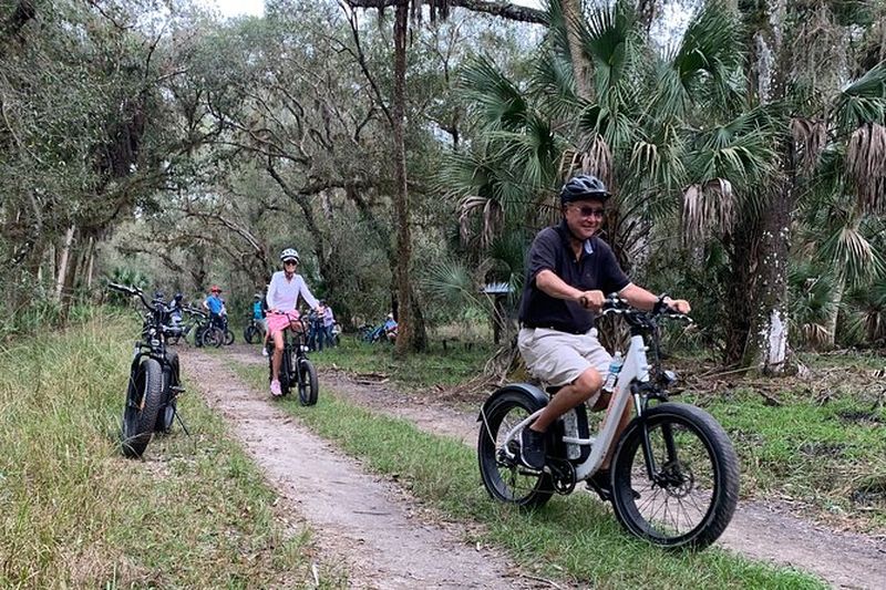 Billet Safari en vélo électrique dans le parc d'État de Myakka