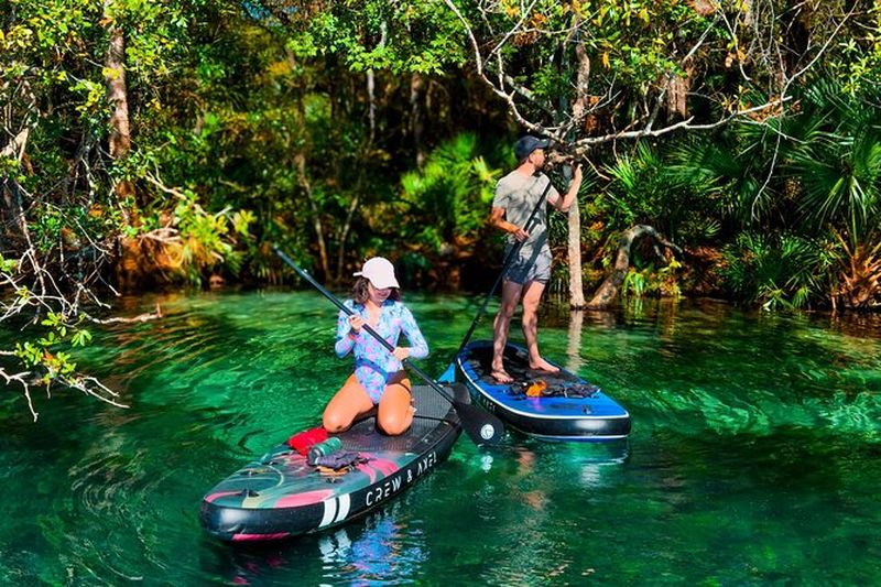 Billet Rainbow Springs Crystal Clear Paddle Board Eco Tour