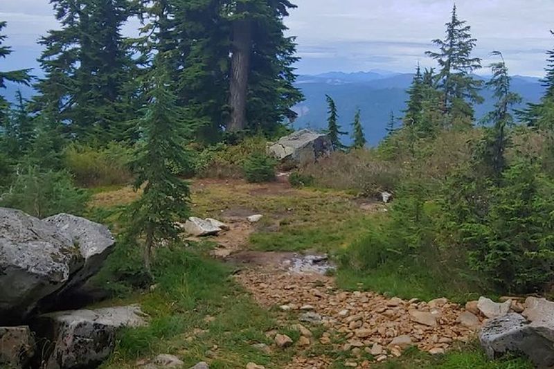 Billet Tour / Randonnée Nature