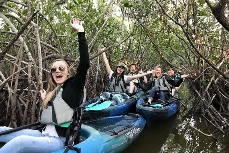 Billet Tunnel de la mangrove des Mille-Îles, excursion en kayak avec lamantins et dauphins avec kayak au cacao