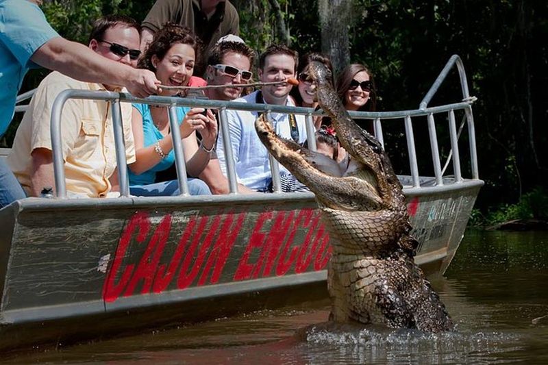 Billet Excursion en bateau dans les marais et bayous de la Nouvelle-Orléans avec transport