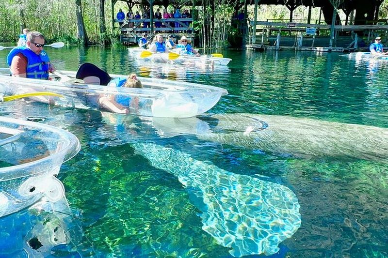 Billet Circuits de kayak et de paddle à Silver Springs de Sassy