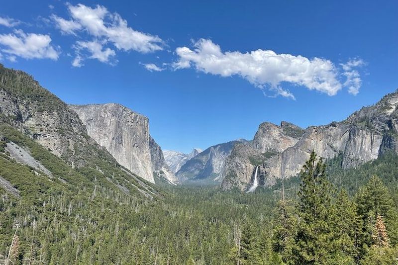 Billet Visite privée du parc national de Yosemite et des séquoias au départ de San Francisco