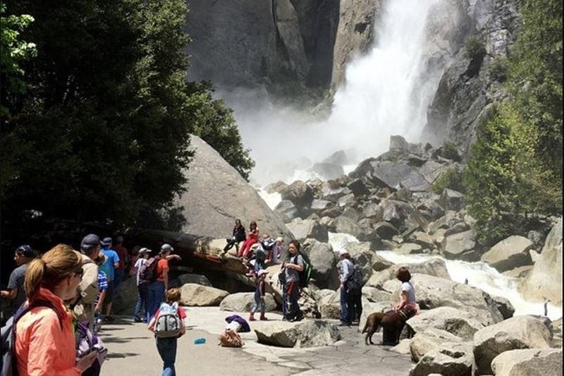 Billet Excursion d'une journée en petit groupe à Yosemite et Séquoias géants au départ de San Francisco