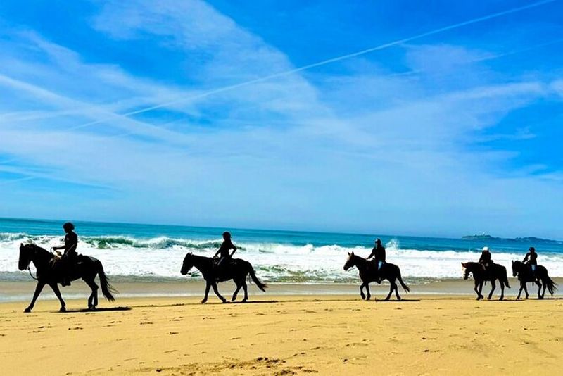 Billet Billets pour une promenade à cheval et la prison d'Alcatraz