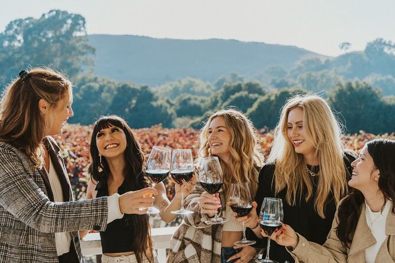 Billet Napa et Sonoma Wine Tour au départ de San Francisco