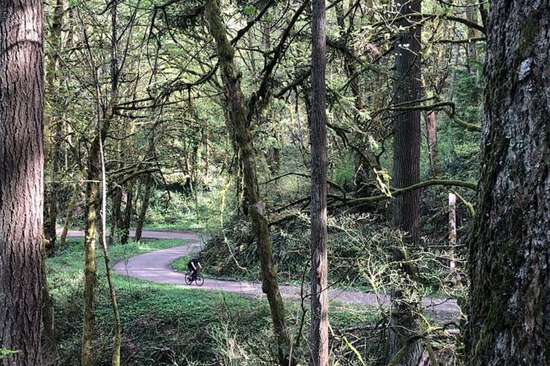 Billet Visite de Forest Park en vélo de gravier de carbone et vélo électrique