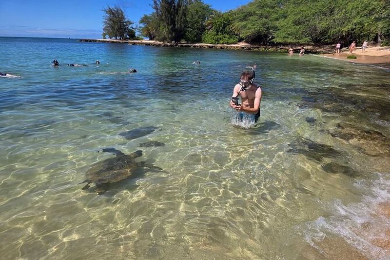 Billet Excursion sur l'île du cercle d'Oahu avec plongée avec tuba à la tortue — Petits groupes