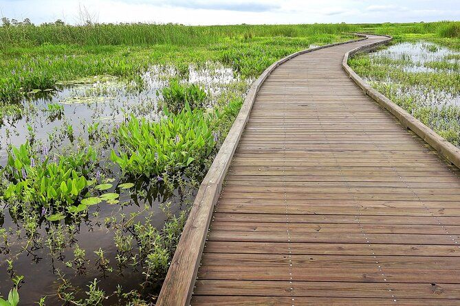 Billet Visite guidée audio du sentier de la nature créole de Louisiane