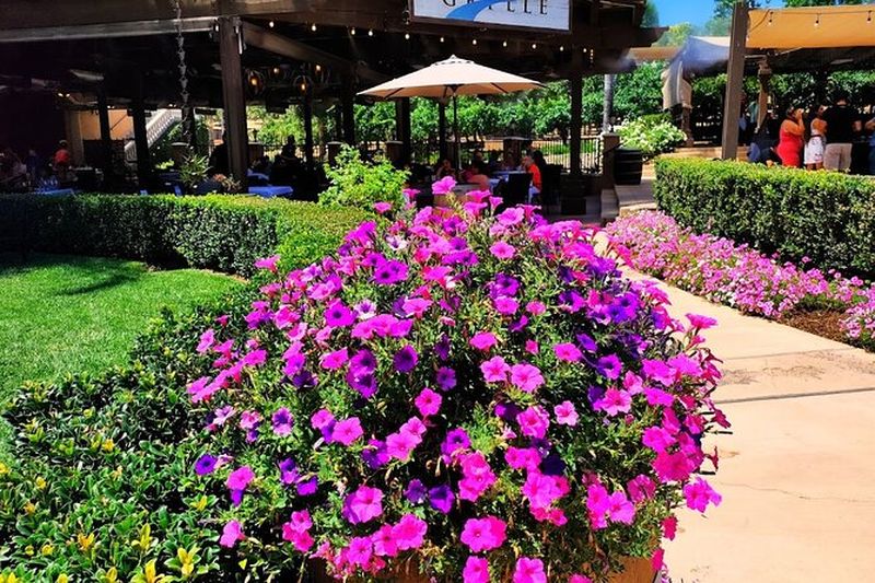 Billet Visite des vins de Temecula au départ de Los Angeles