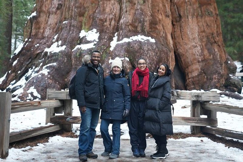 Billet Visite privée des parcs Sequoia et Kings Canyon au départ de San Francisco