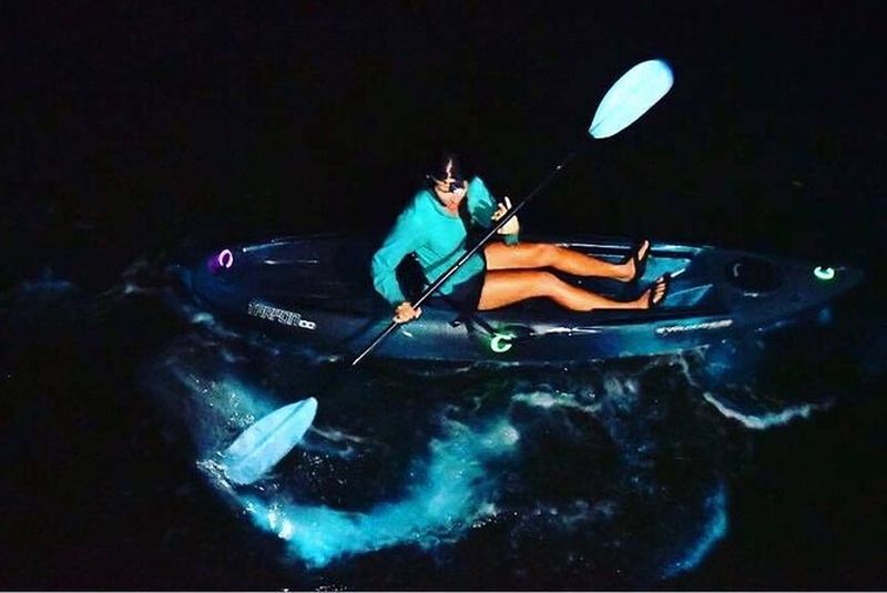 Billet Excursion en kayak bioluminescent aux Mille-Îles avec kayak au cacao !
