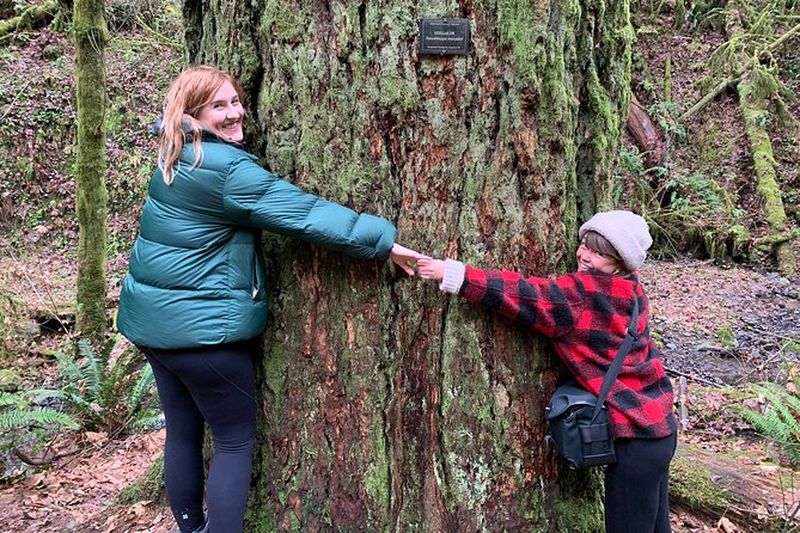 Billet Randonnée urbaine dans le parc forestier, Portland