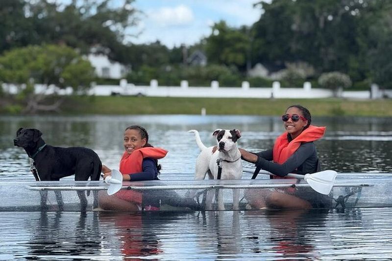 Billet Pagayez avec des chiots au paradis - Paddleboard ou Kayak