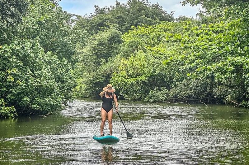Billet Stand Up Paddle Boarding Adventure dans Windward Oahu