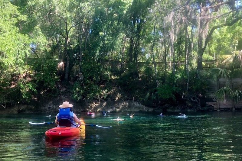 Billet Visite guidée en kayak de la rivière Wekiva