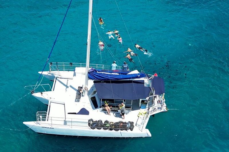 Billet Meilleur Waikiki Snorkel Tour : Garanti Tortues à Turtle Canyon