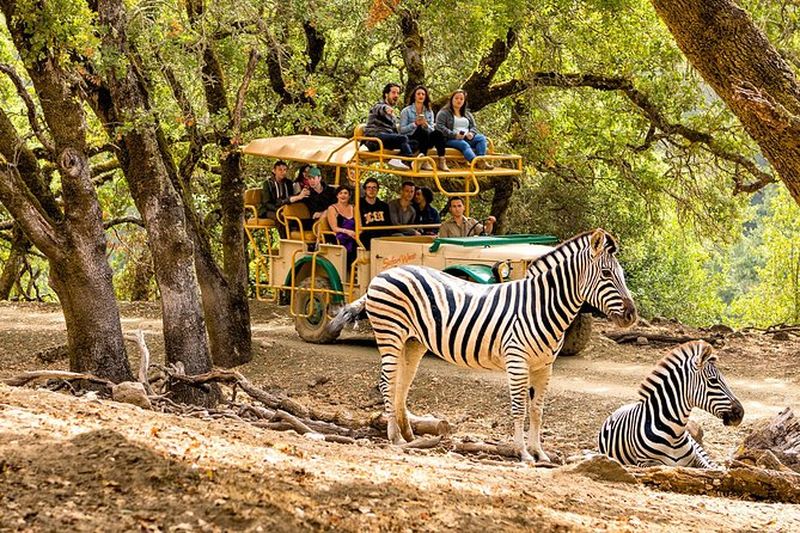Billet Safari West Sonoma Adventure Tour