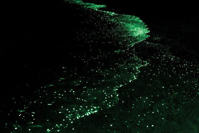 Billet Circuit en kayak bioluminescence dans les îles San Juan
