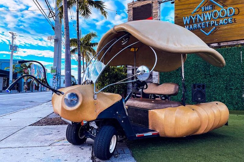 Billet Expérience de visite artistique d'une heure avec Lady Buggy à Wynwood