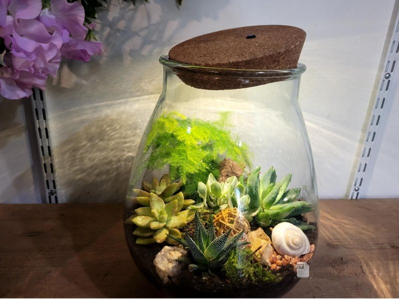 Billet Atelier - Réalisez votre terrarium