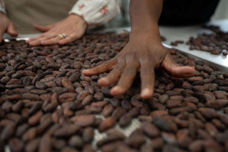 Billet Atelier - Initiez-vous à la dégustation de chocolat artisanal