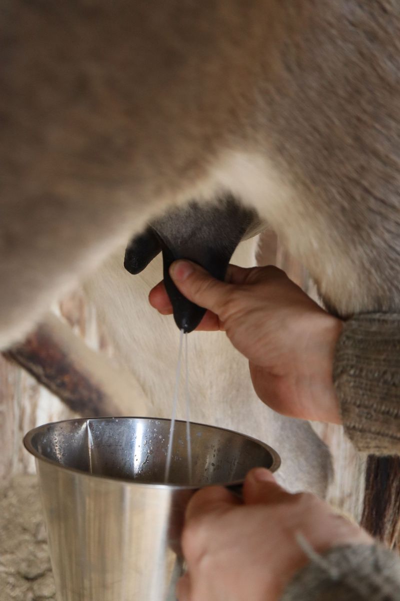 Billet Atelier - Fabriquez vos savons au lait d'ânesse