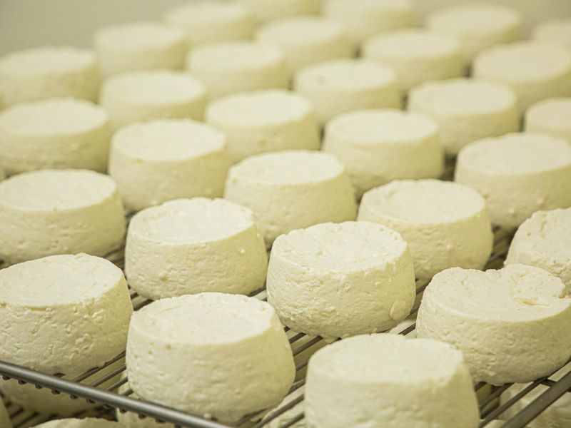 Billet Atelier - Découvrez la fabrication du fromage de chèvre