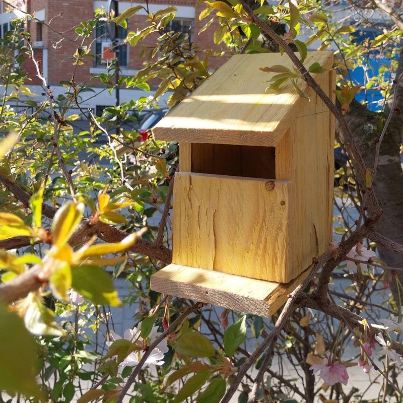 Billet Atelier - Fabriquez votre nichoir à oiseaux en famille