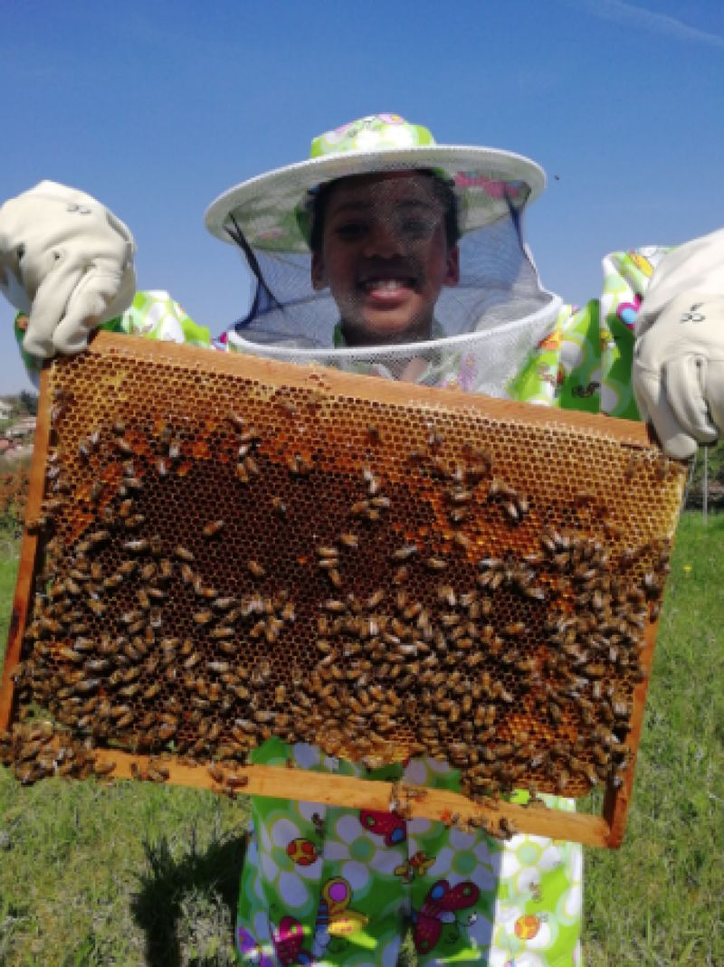 Billet Atelier - Découvrez l'apiculture