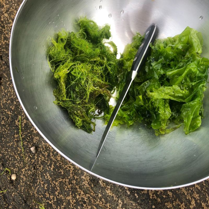 Billet Atelier - Découvrez la cueillette et la cuisine des algues