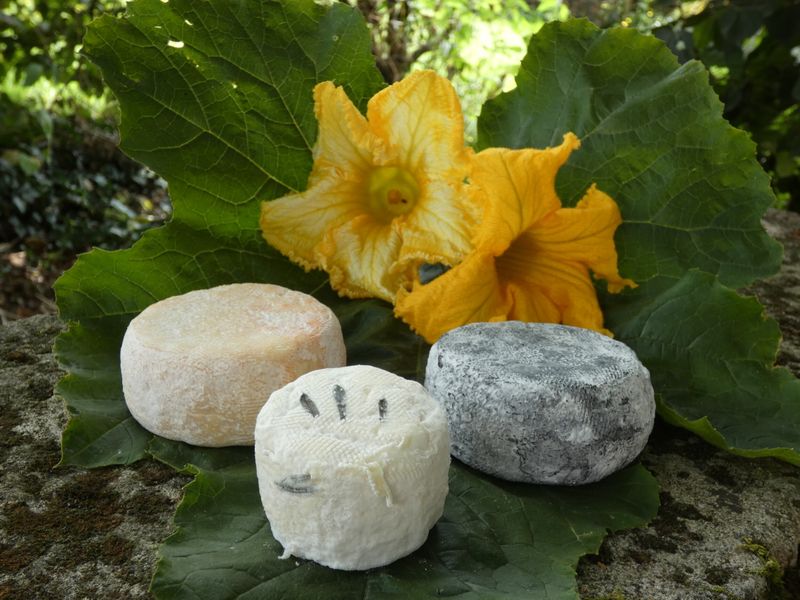Billet Atelier - Fabriquez votre fromage de chèvre