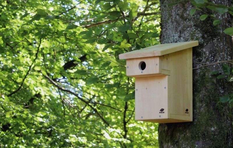 Billet Atelier - Fabriquez votre nichoir à oiseaux en bois