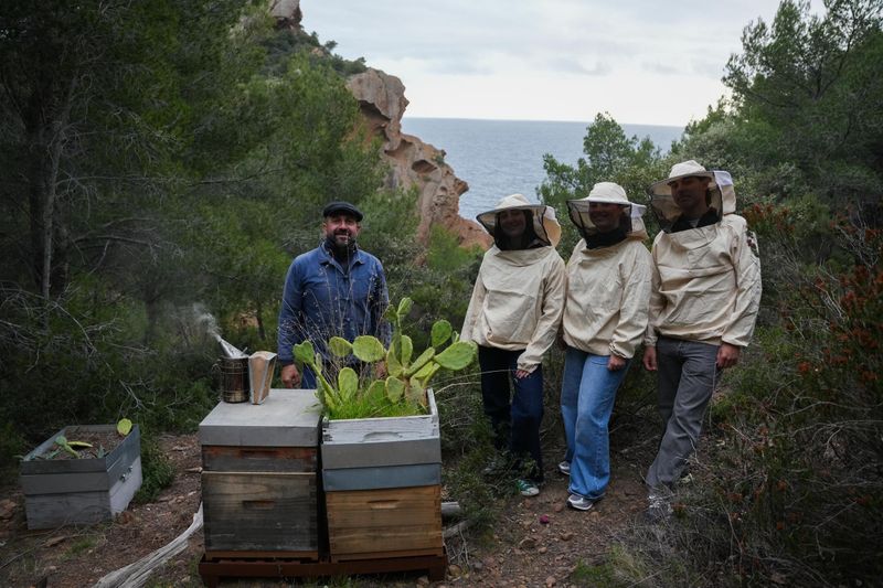Billet Atelier - Marchez jusqu’au cœur des ruches dans les calanques