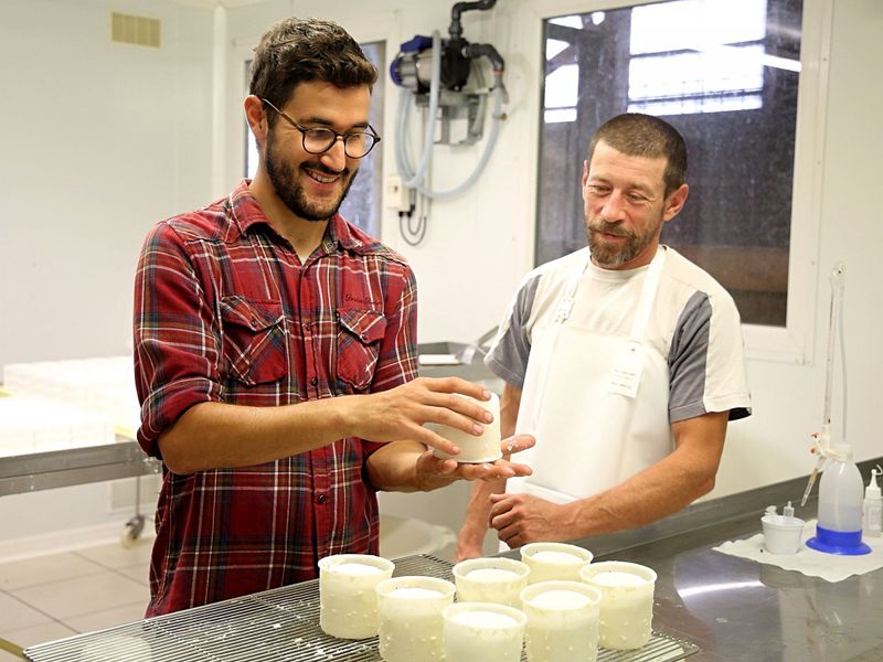 Billet Atelier - Fabriquez votre fromage de chèvre à la ferme