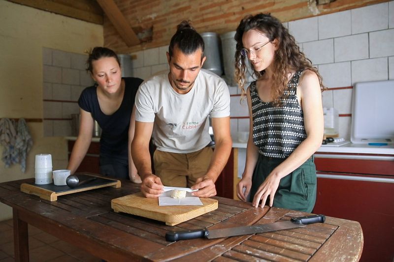 Billet Atelier - Fabriquez votre fromage fermier de brebis