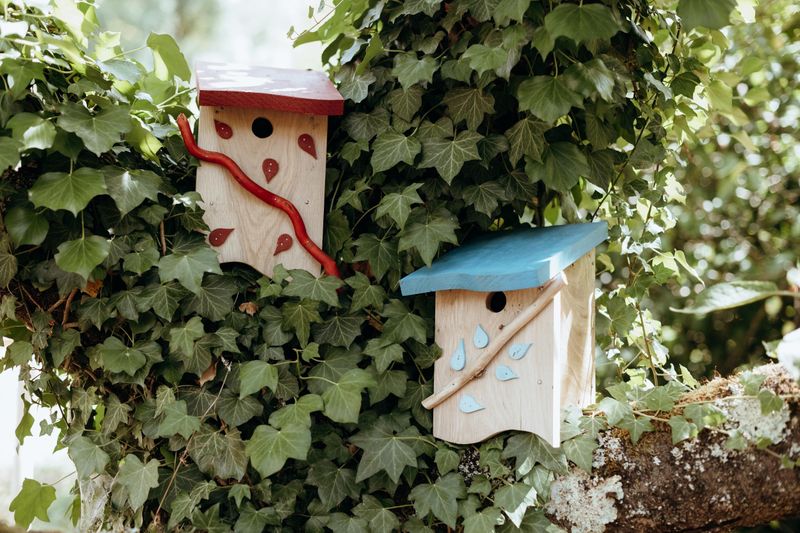 Billet Atelier - Fabriquez votre nichoir à oiseaux en bois