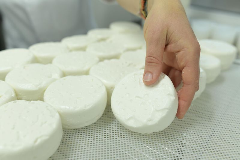 Billet Atelier - Visitez une chèvrerie et fabriquez votre fromage
