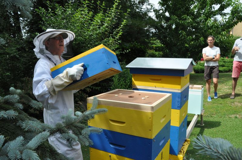 Billet Atelier - Une journée dans la vie d'un apiculteur