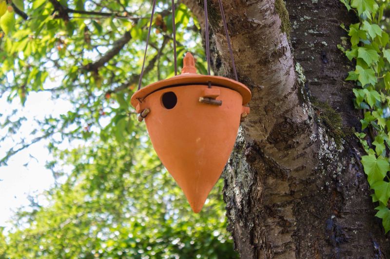 Billet Atelier - Modelez votre nichoir à oiseaux