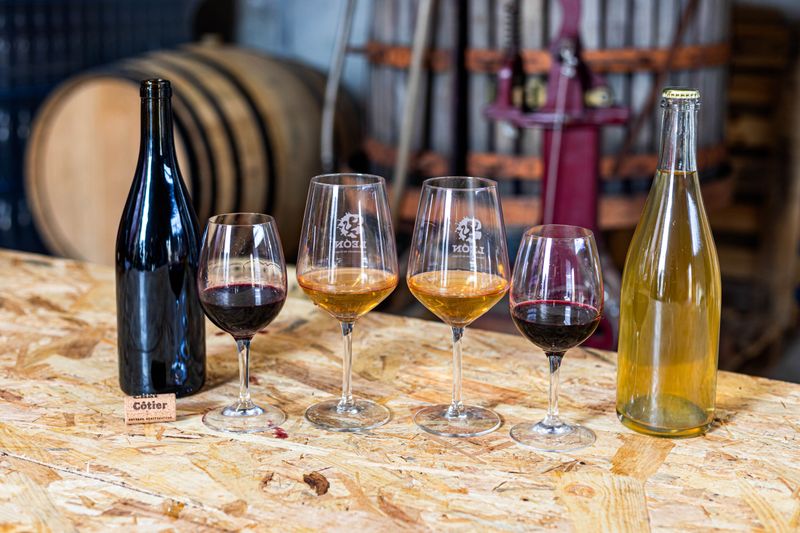 Billet Atelier - Visitez un chai urbain et dégustez des vins locaux