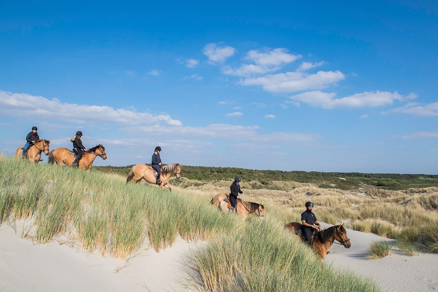 Hauts-de-France : les meilleures activités à faire dans la région