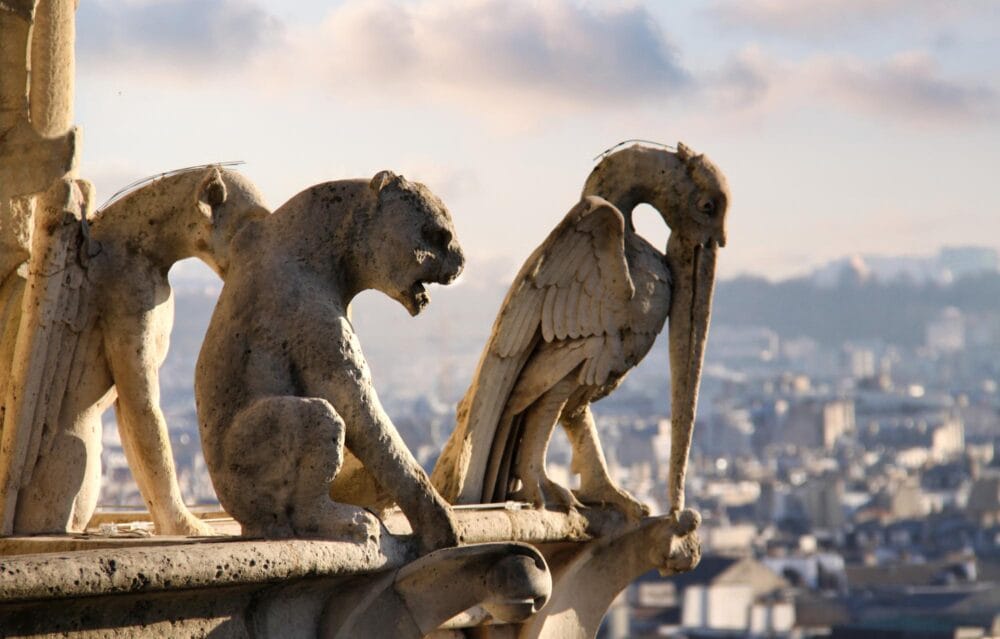 Gargouilles de la Cathédrale Notre-Dame de Paris